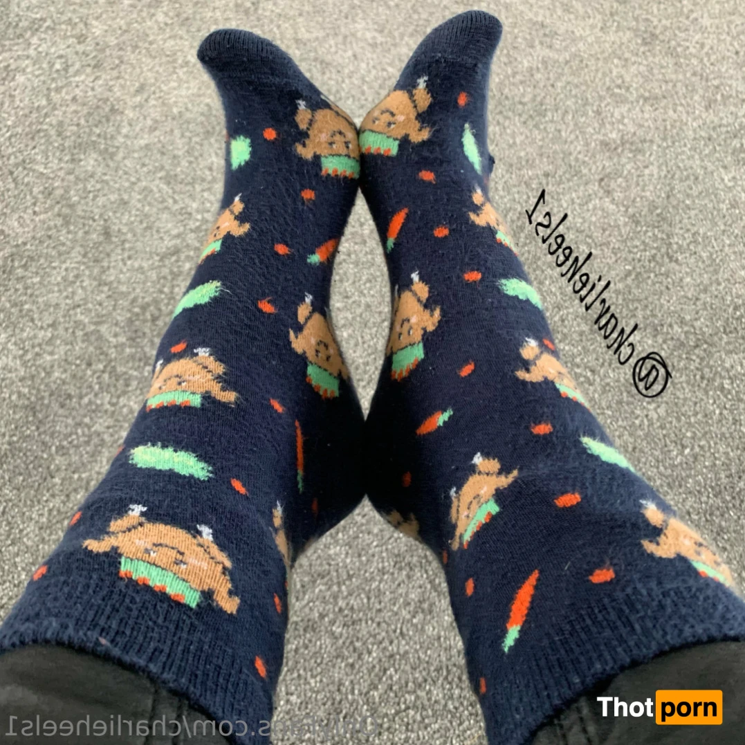 charlieheels1 11728942