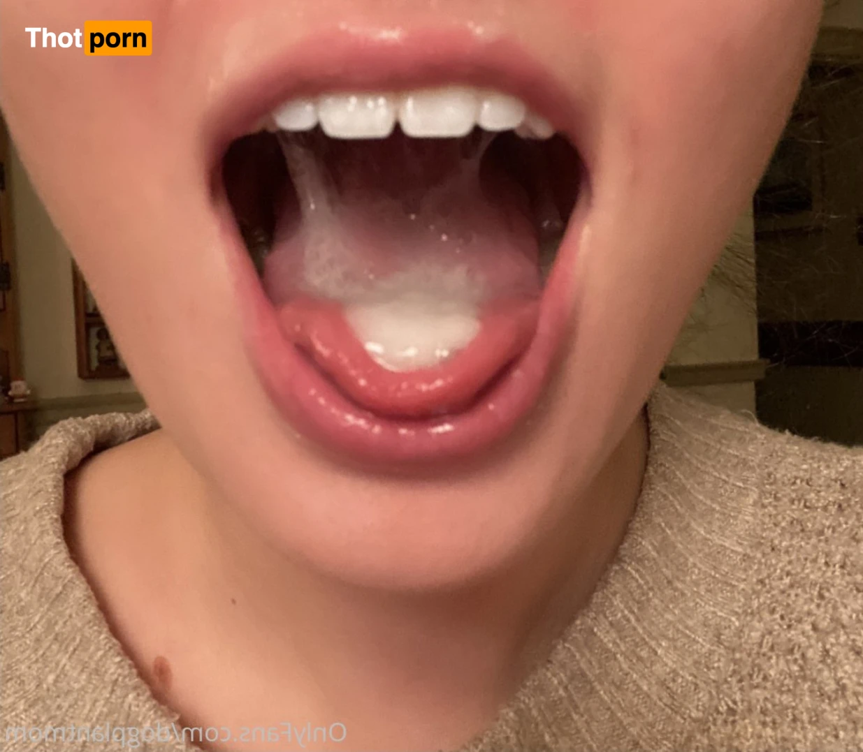 dogplantmom 15028834