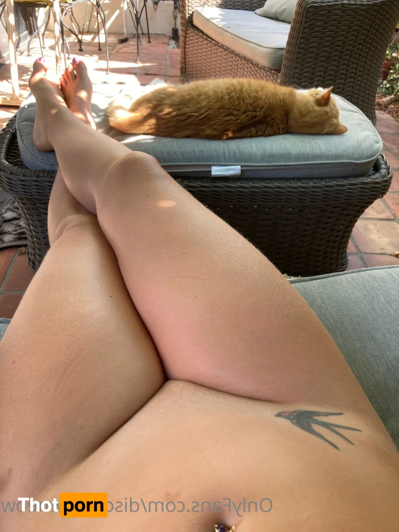 Kitty Baby 😻 12881029