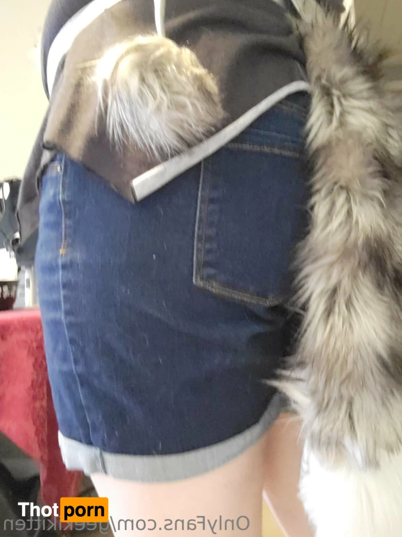 GeekiKitten 12909527