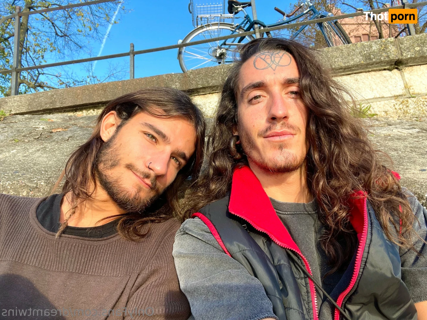 Dream Twins 14938799