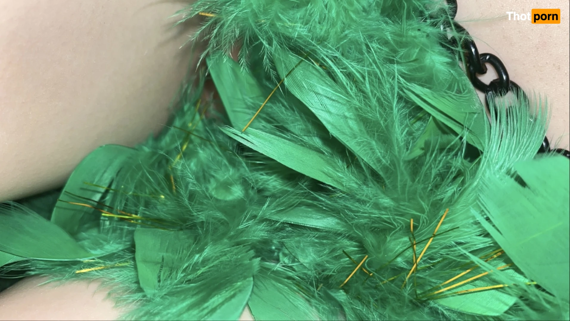 🧚‍♀️ 11152576