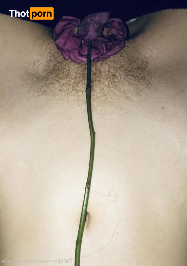 🧚‍♀️ 15343721