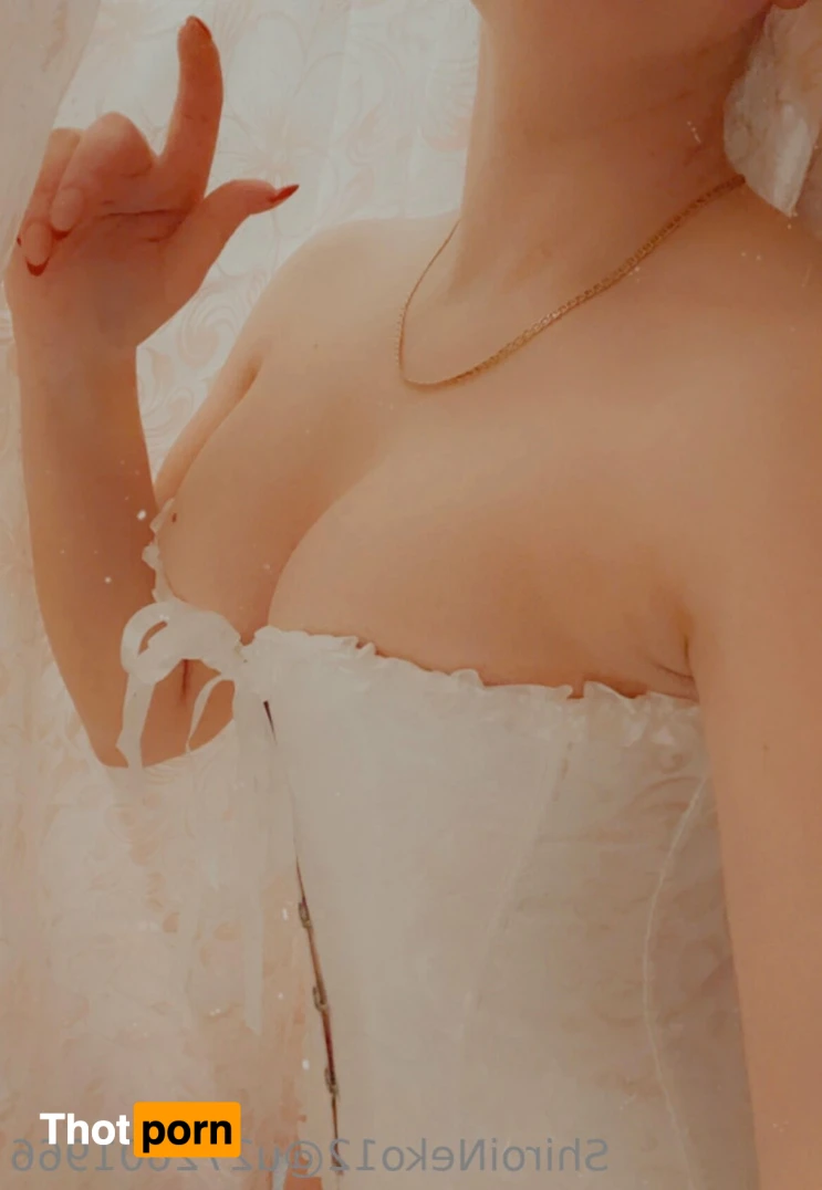 ShiroiNeko12 13051351