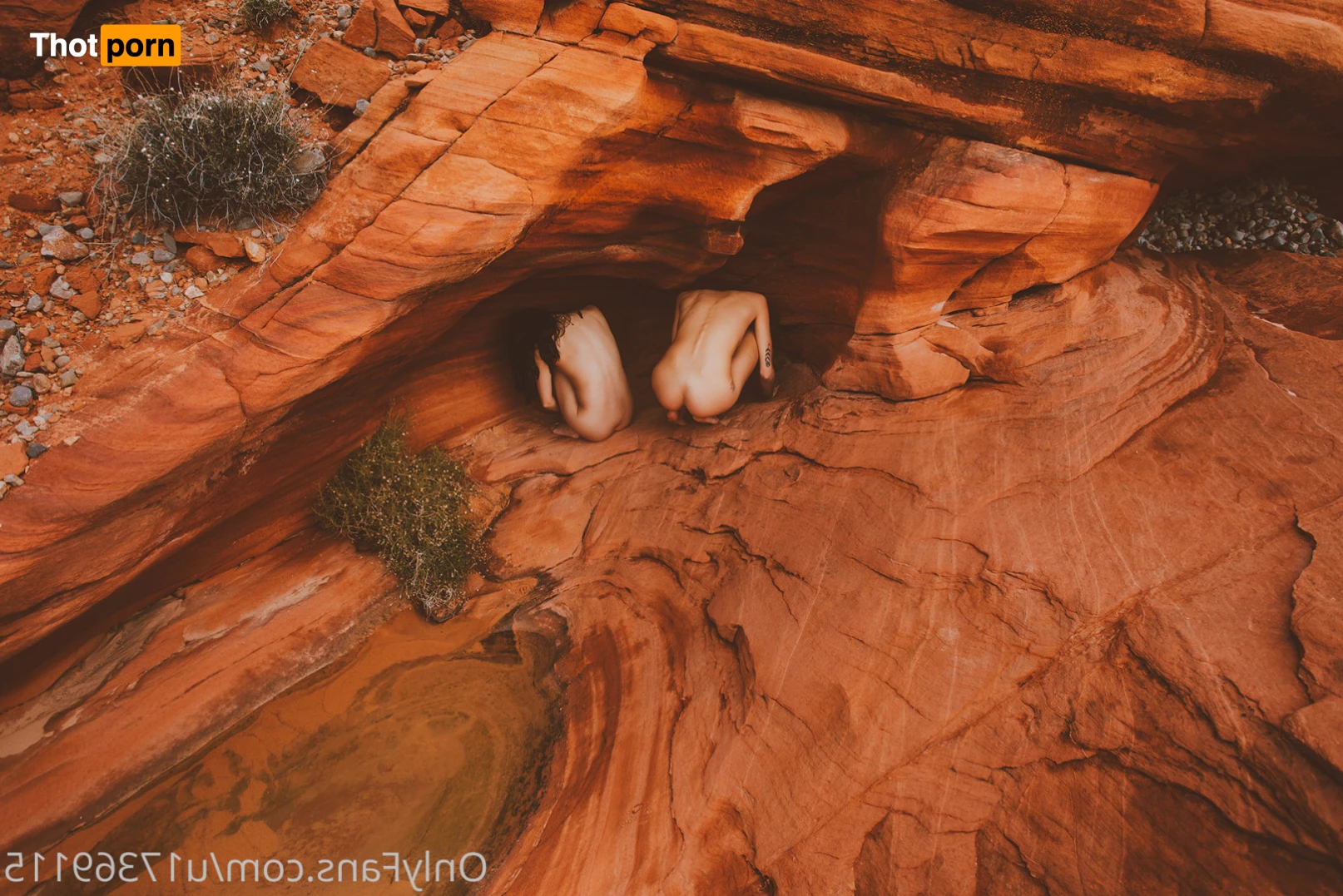 janice griffith 13018332