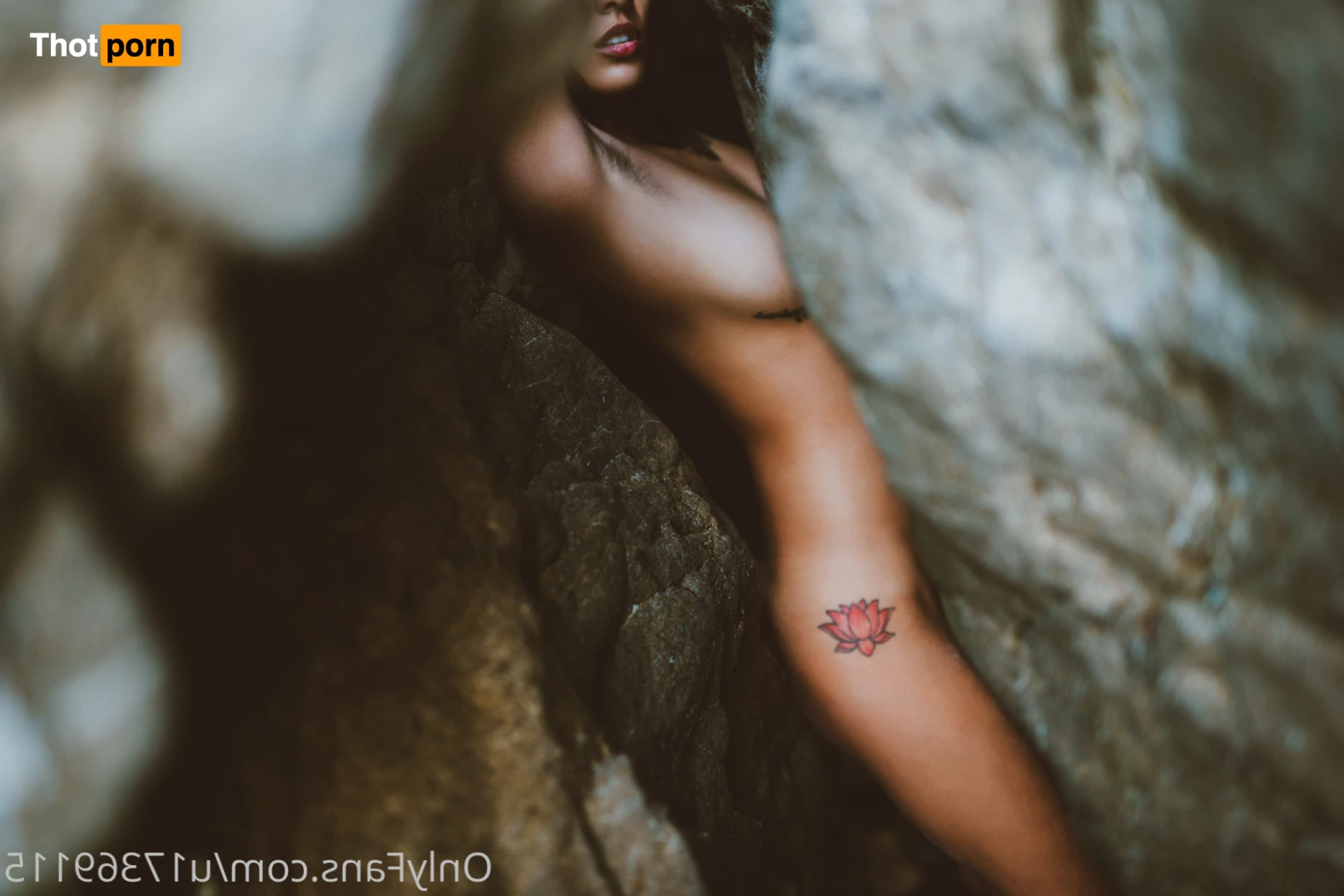 janice griffith 13018571