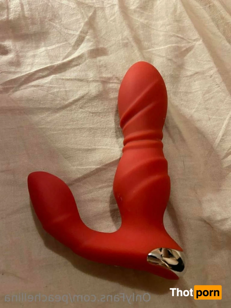 peachellina 13334763