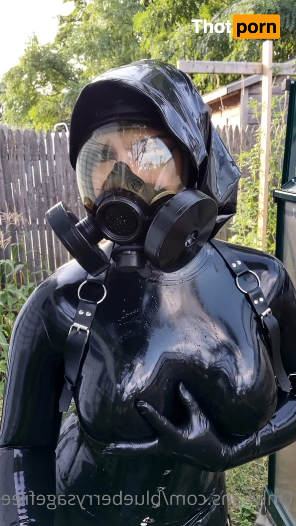 Blueberry Sage Free 13349868