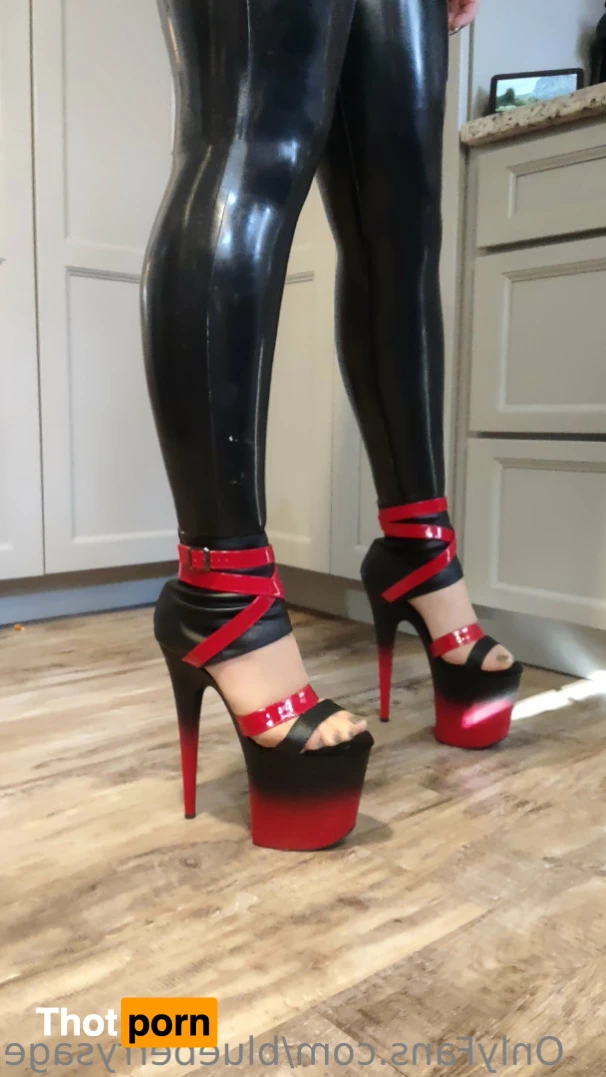 Blueberry Sage 13350771