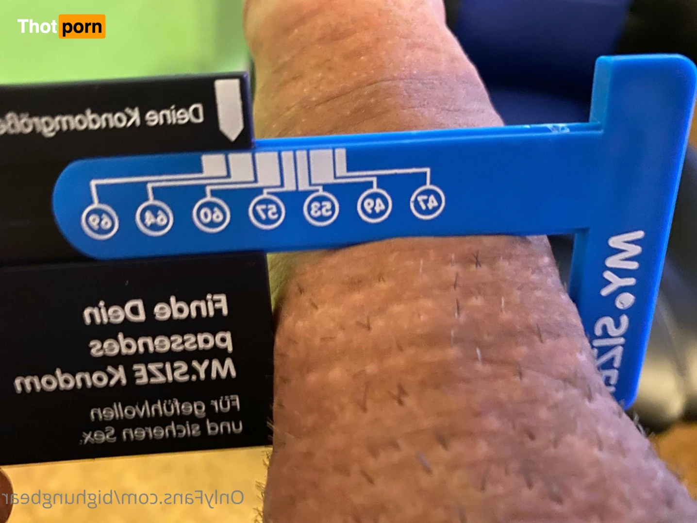 BigHungBear 13562149