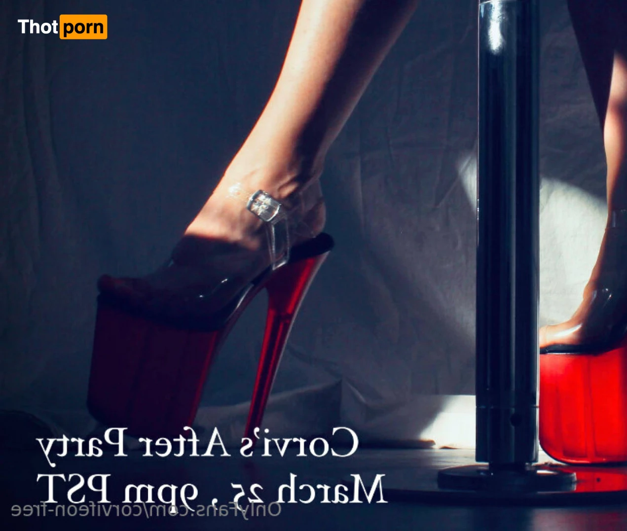 Corvi FREE! 13935298