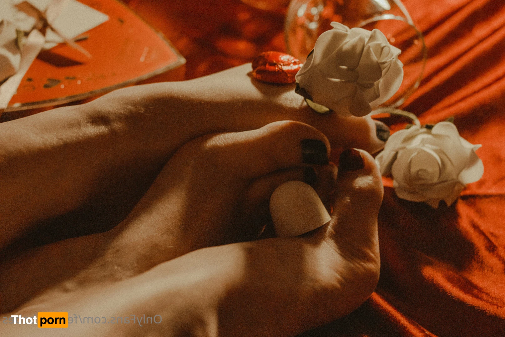 Feetish Babes 15641967