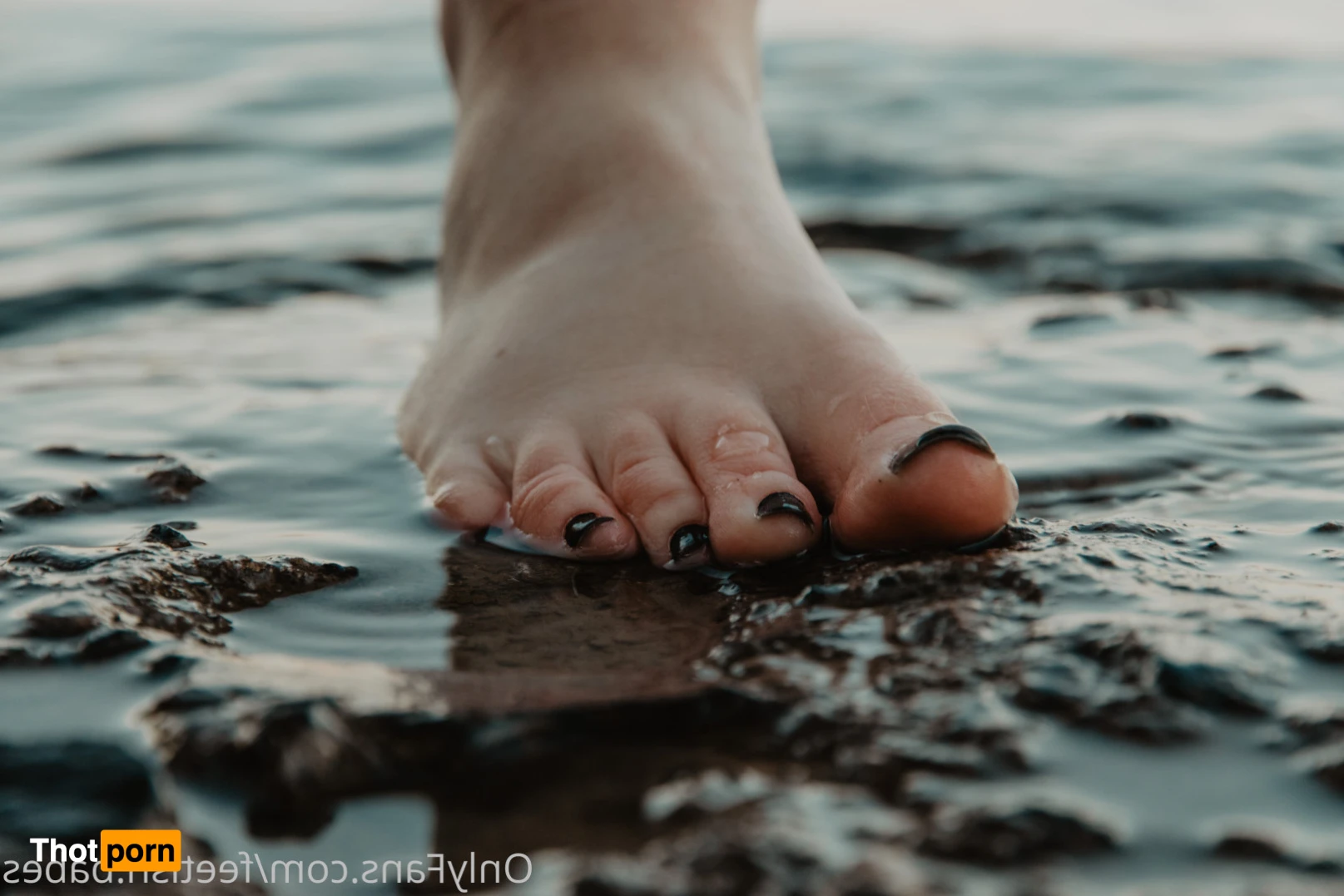 Feetish Babes 15642865