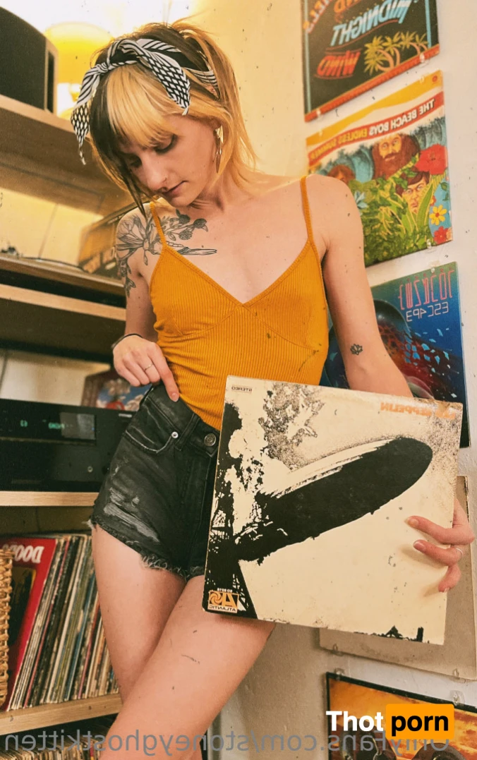 stoneyghostkitten 14024307