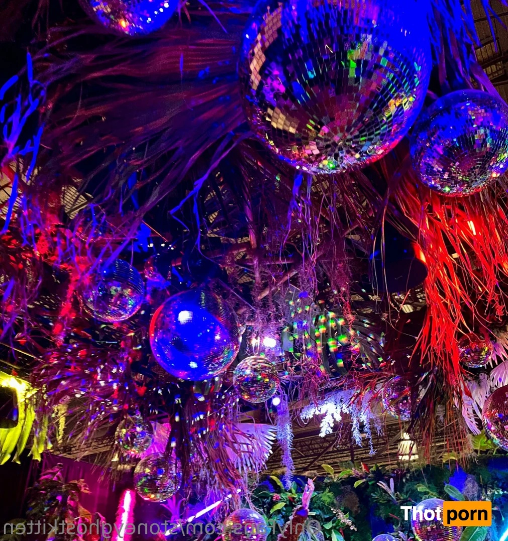 stoneyghostkitten 14046375