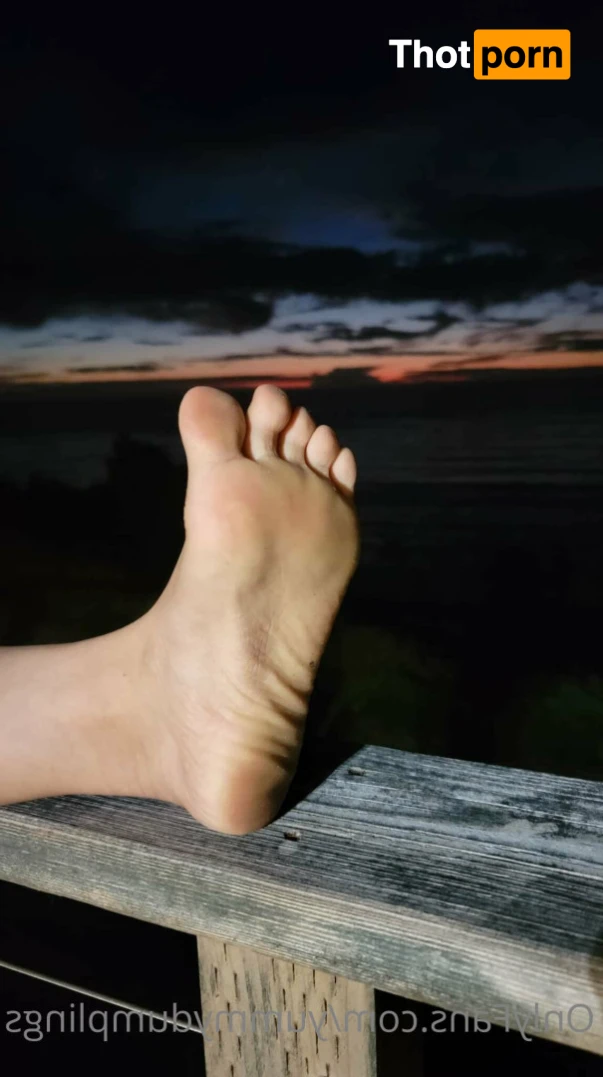 yum dumplings 14142195