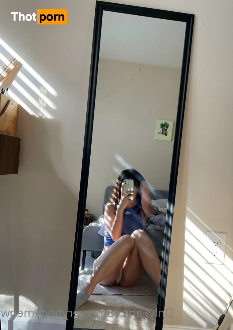 Everybody Meow 14167573