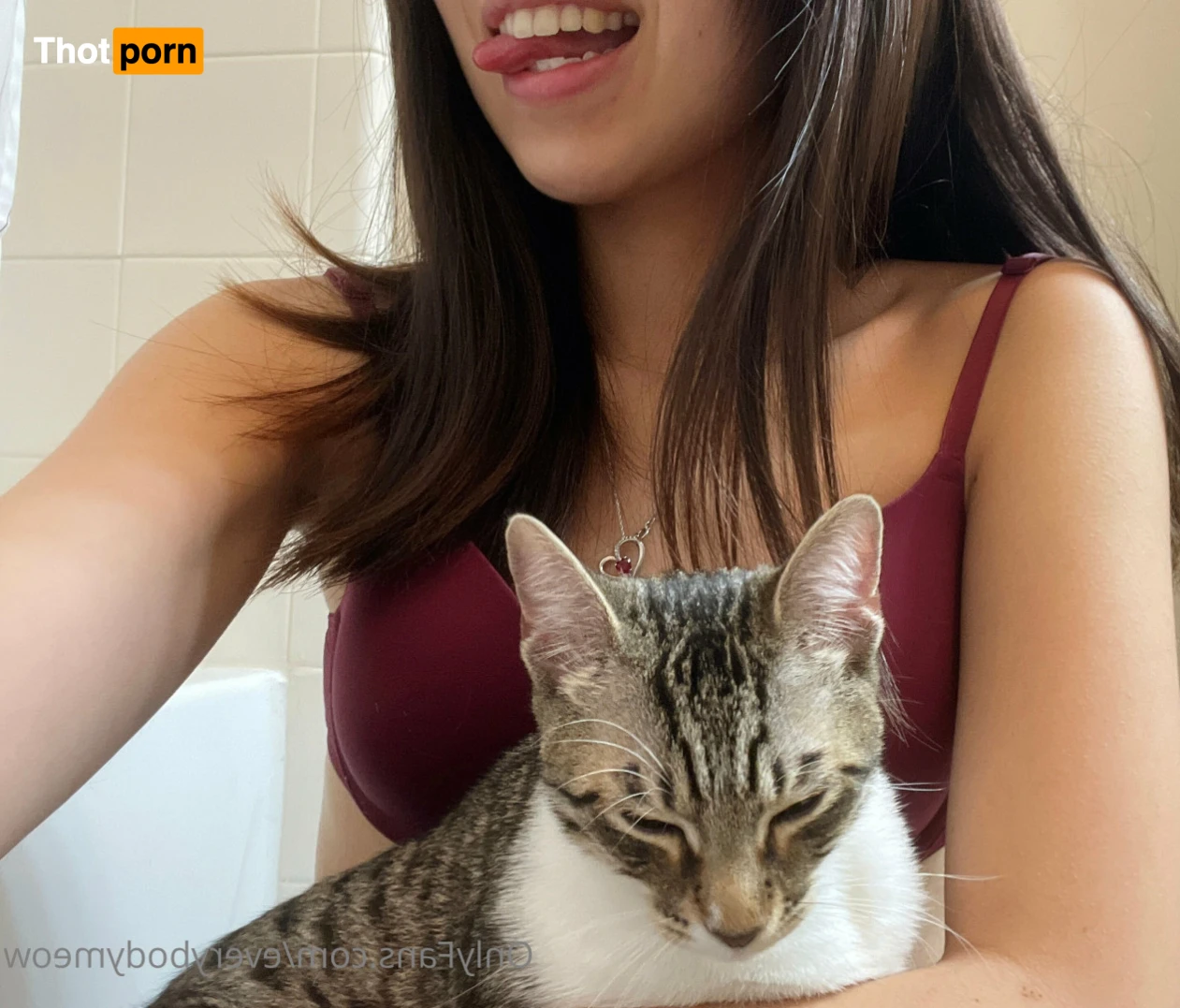 Everybody Meow 14167621