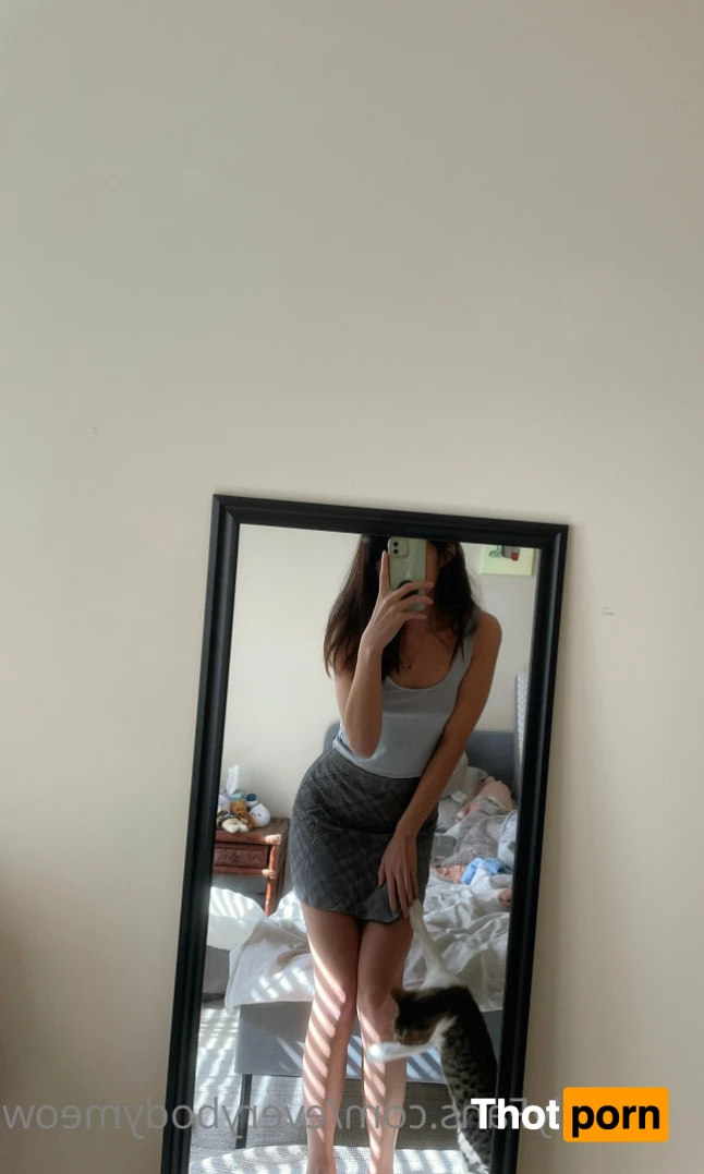 Everybody Meow 14168634