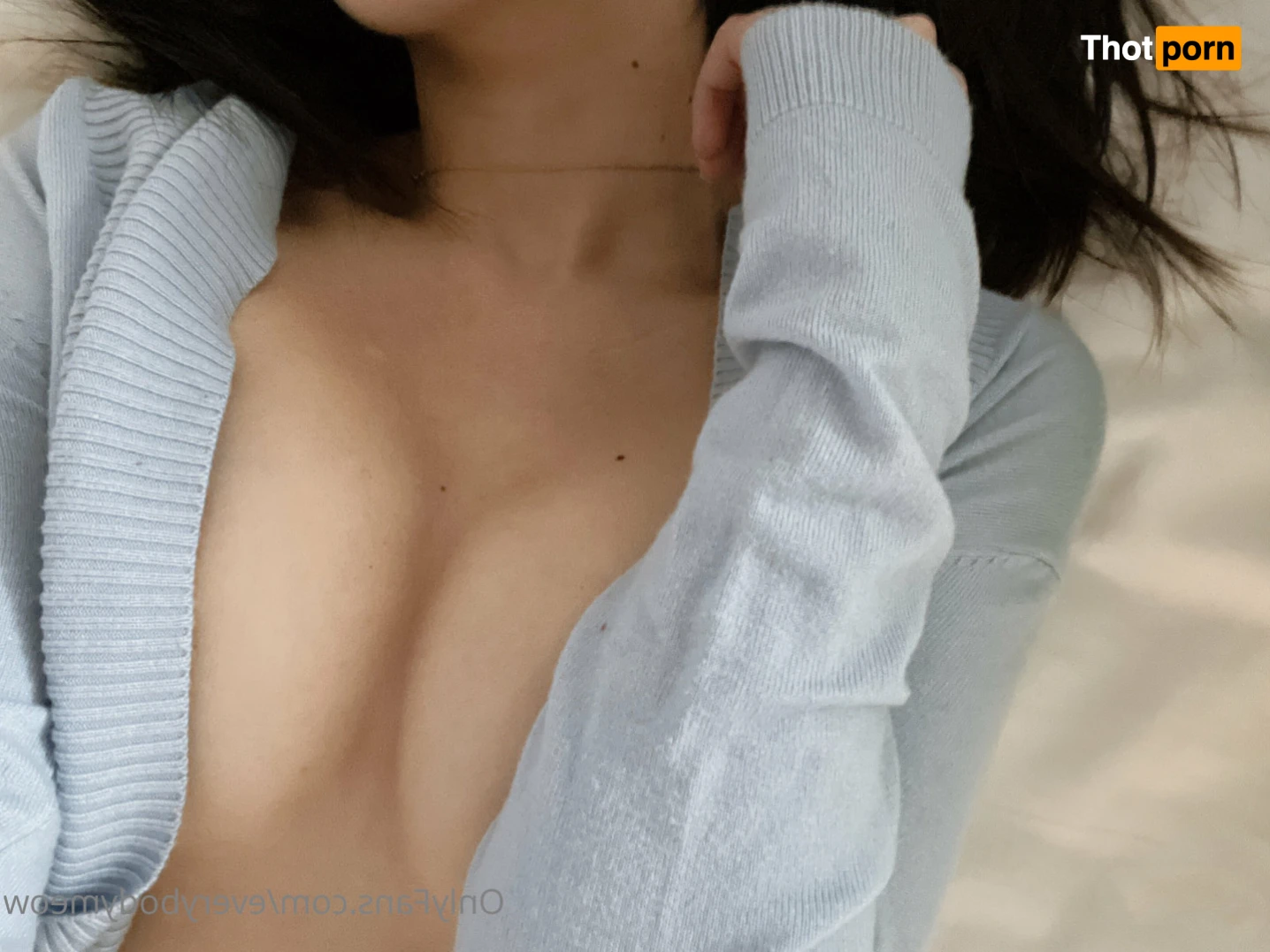 Everybody Meow 14169170