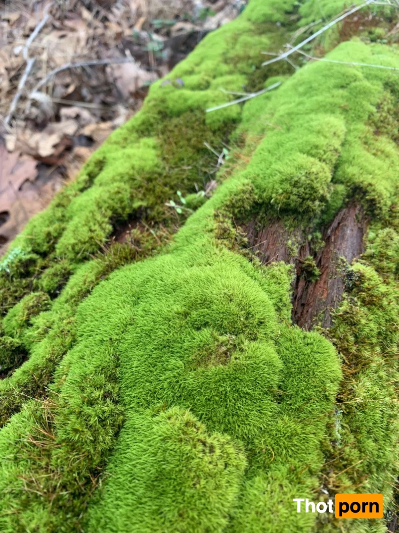 RinKitty🪲FREE FULL LENGTH VIDS! 1030580