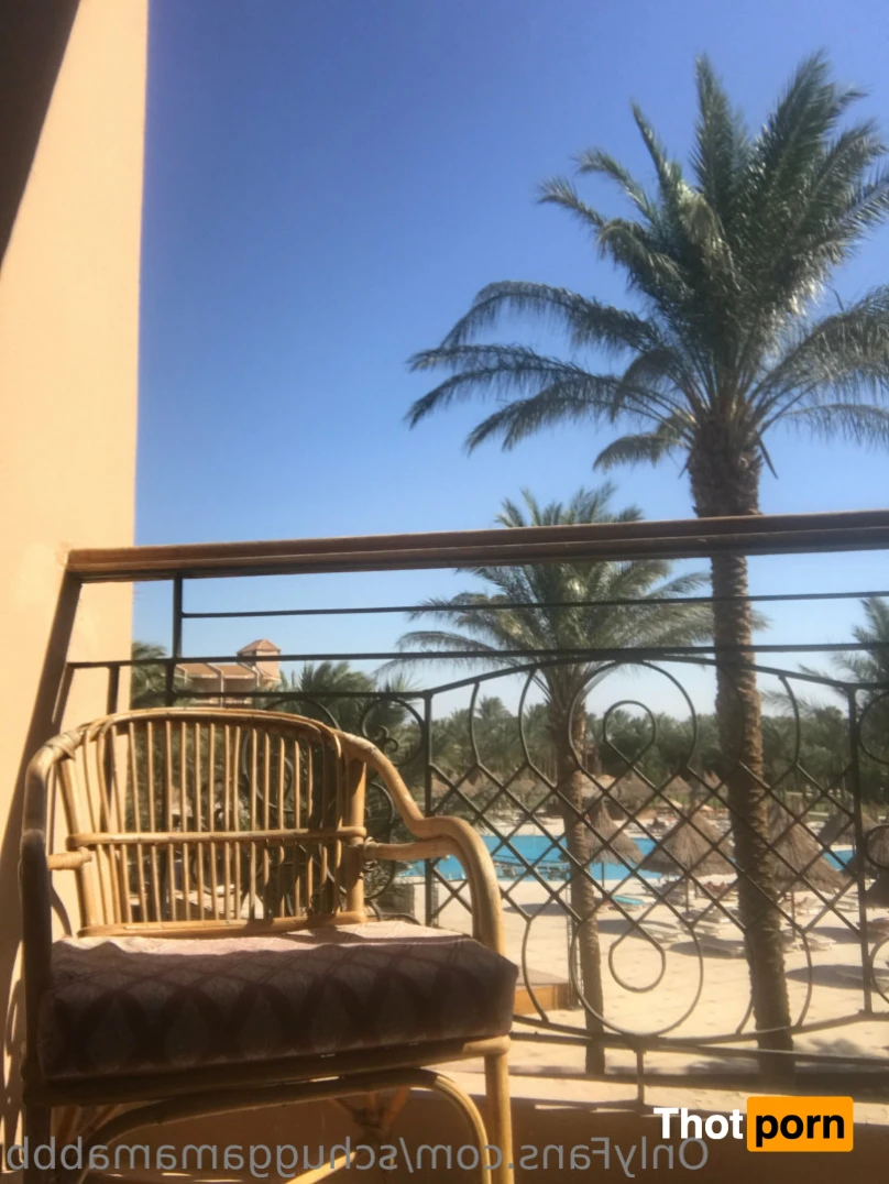 Schuggamamabbb 14360166