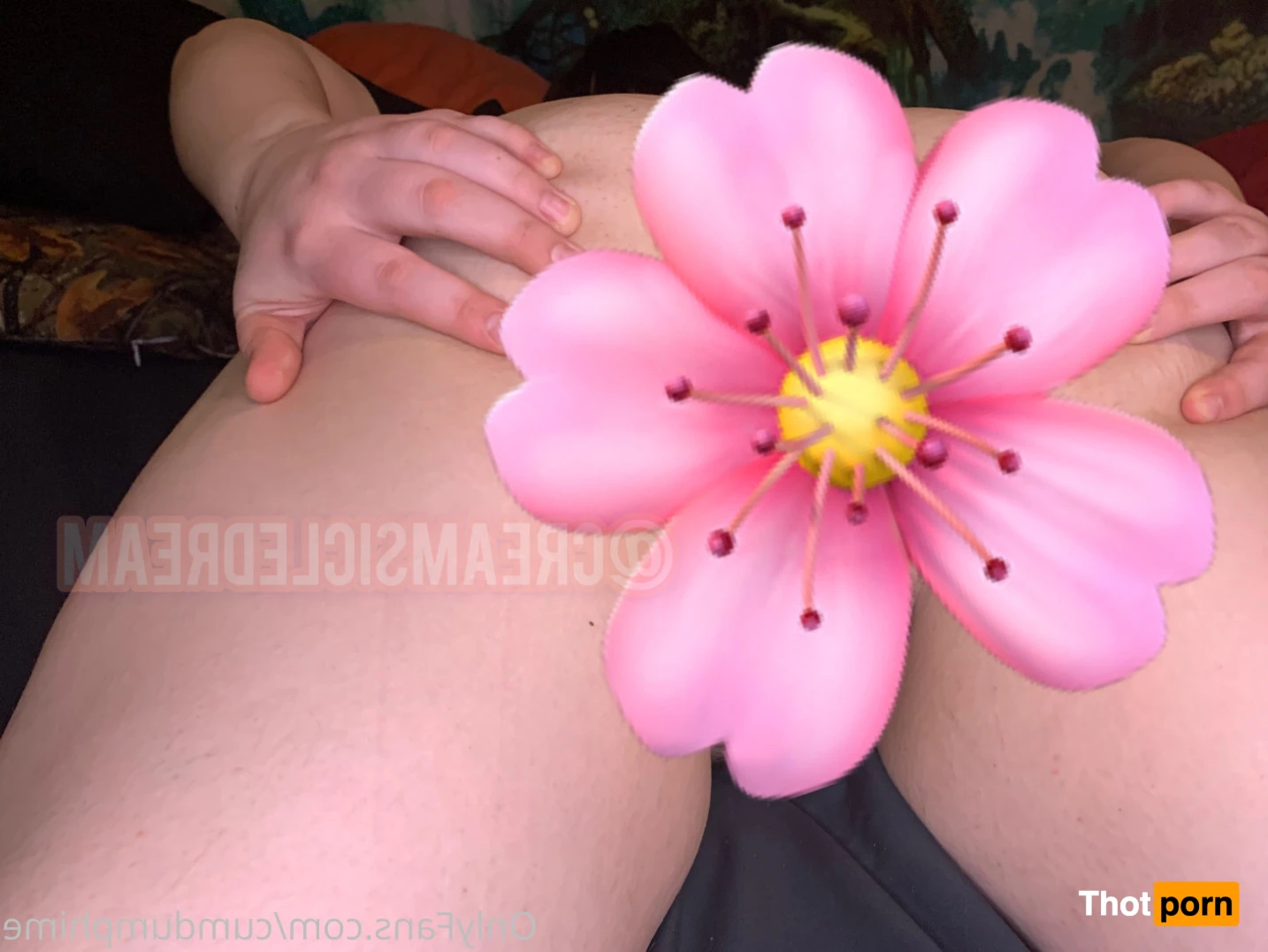 cumdumphime 14457684