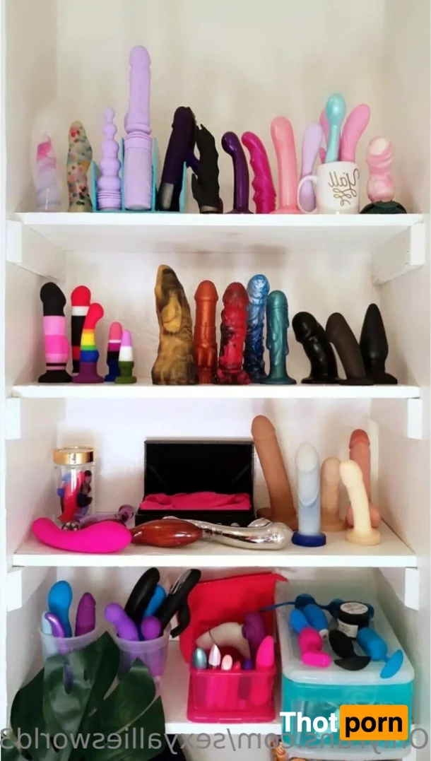 Allie's World Fans Custom extraordinaire 14471590