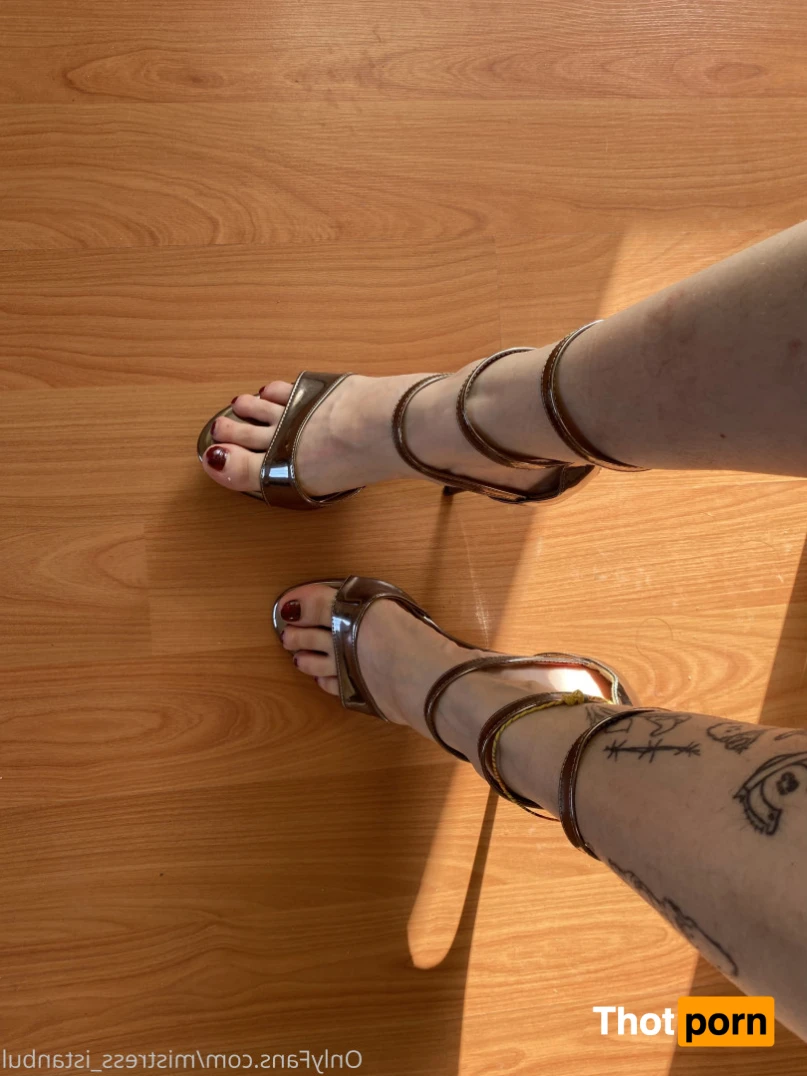 Mistress Istanbul 14643190