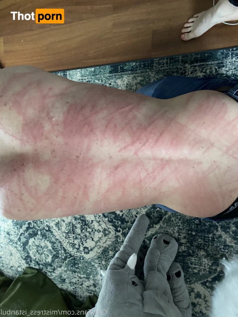 Mistress Istanbul 14643245