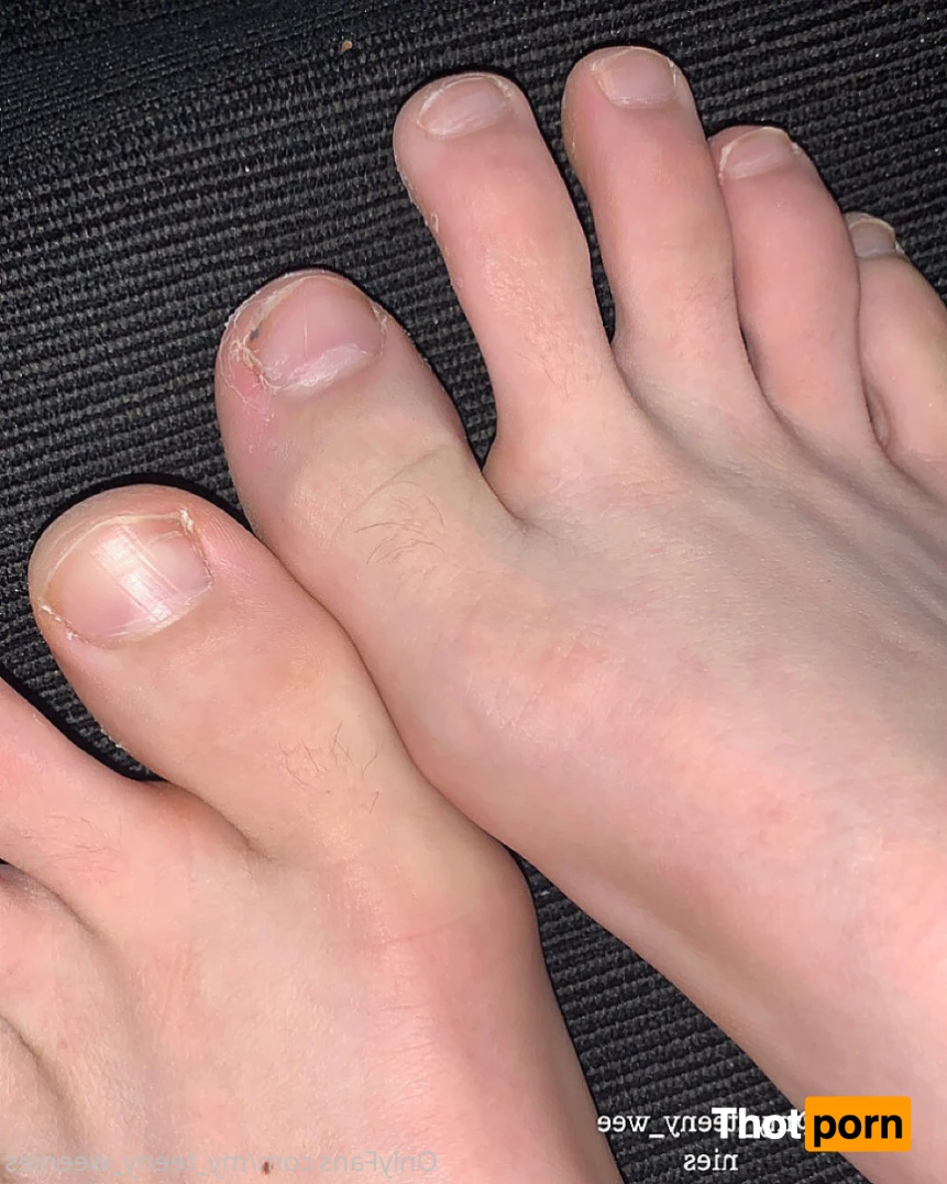 my_teeny_weenies 14892309