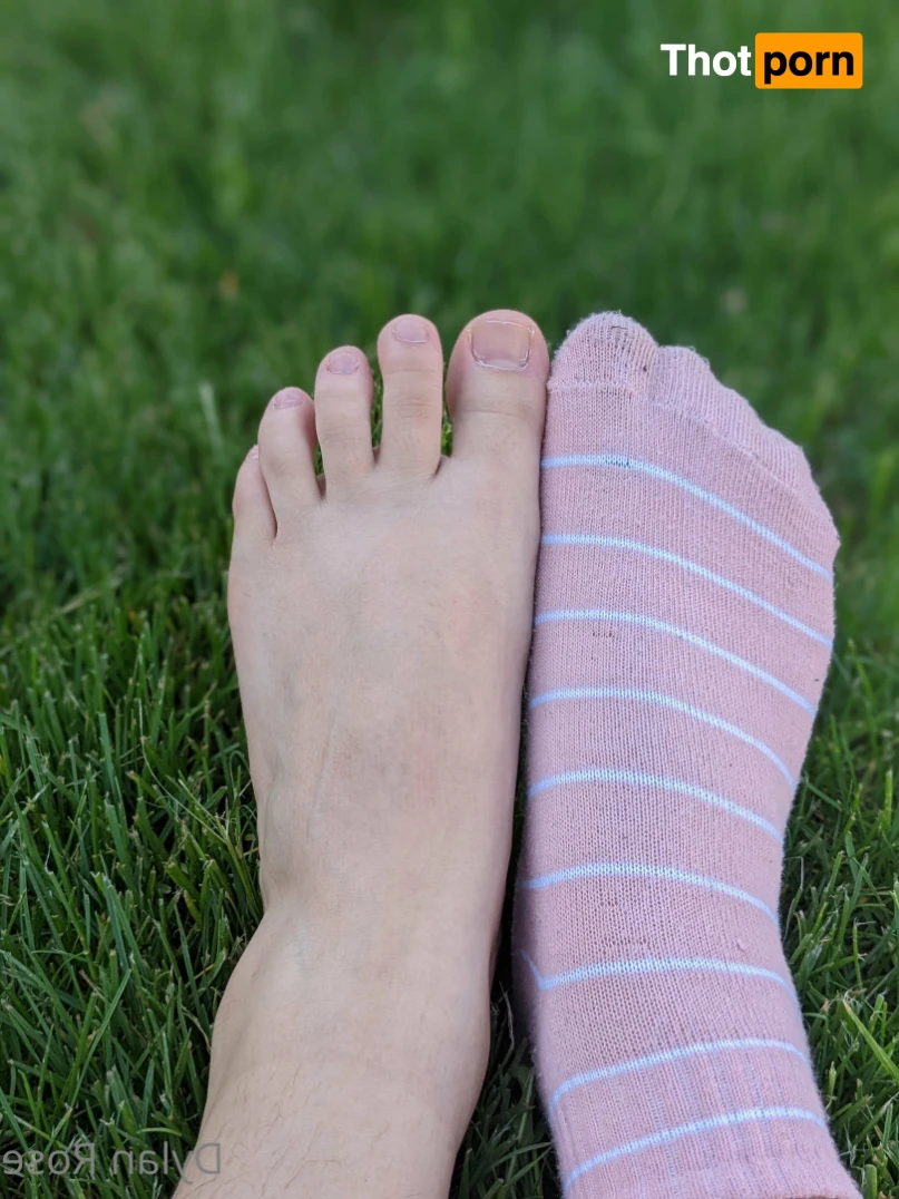 dylanrose101 14910761