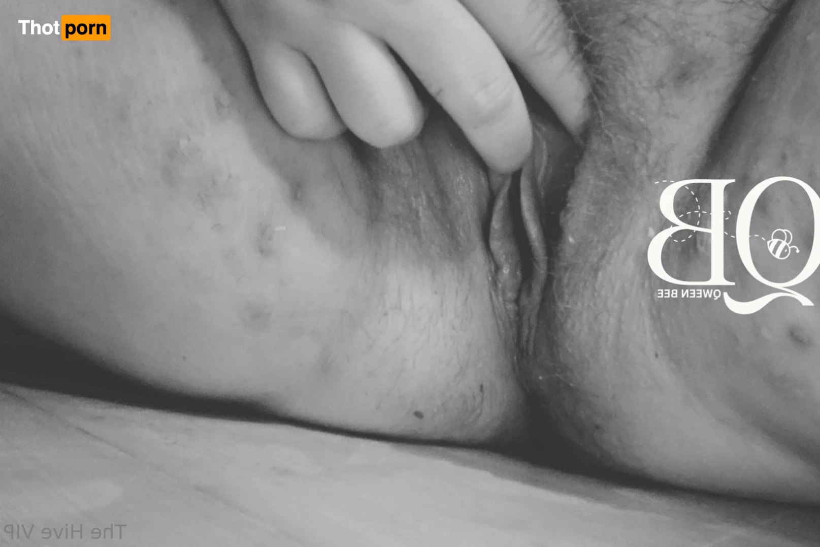 The Hive VIP 15322536