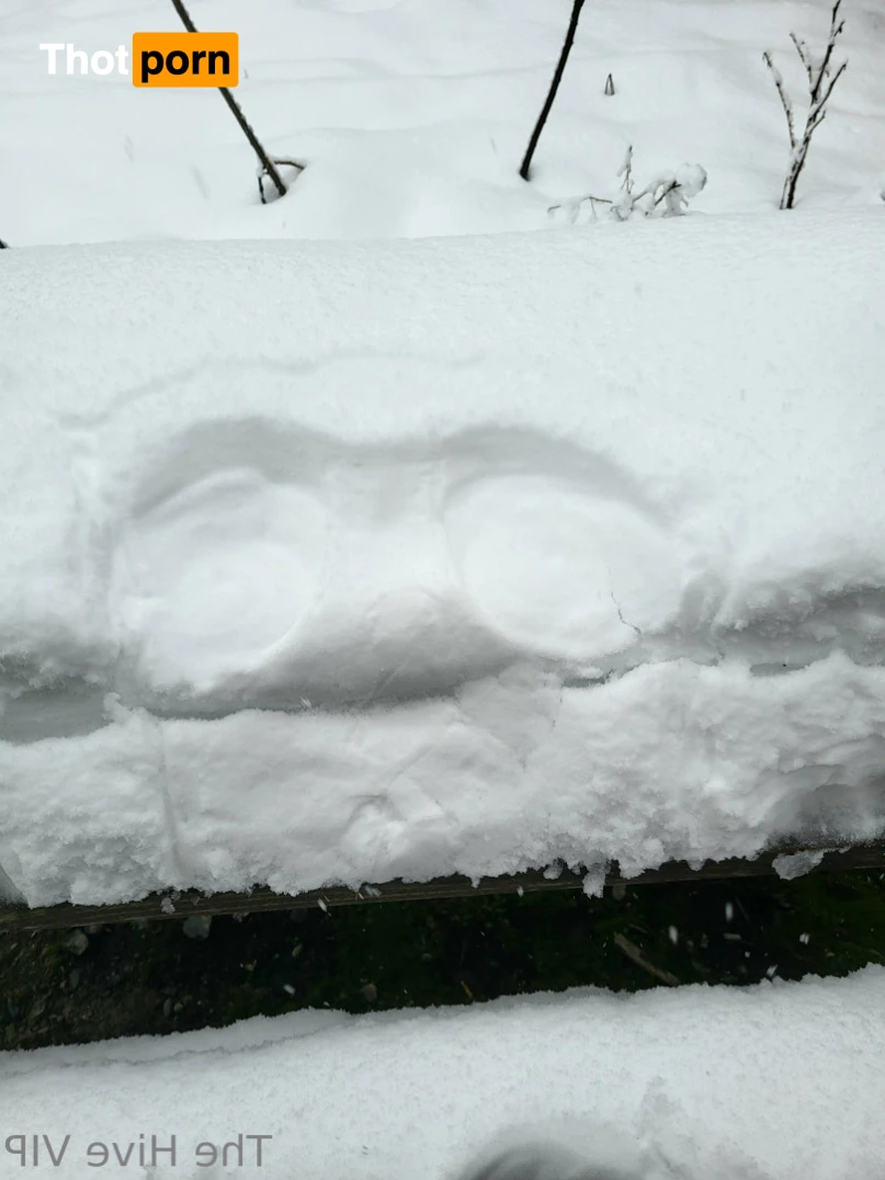 The Hive VIP 15333350