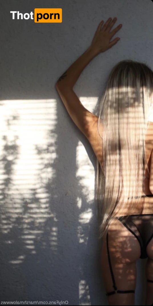 Marshmallow 15072649