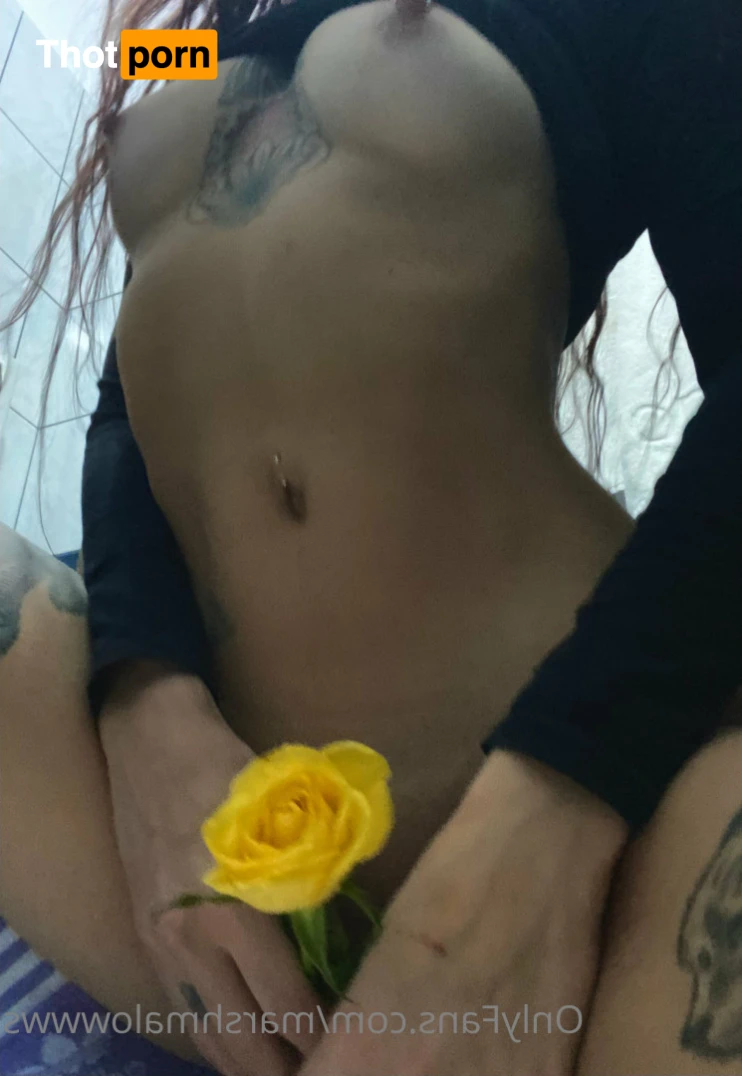 Marshmallow 15072683