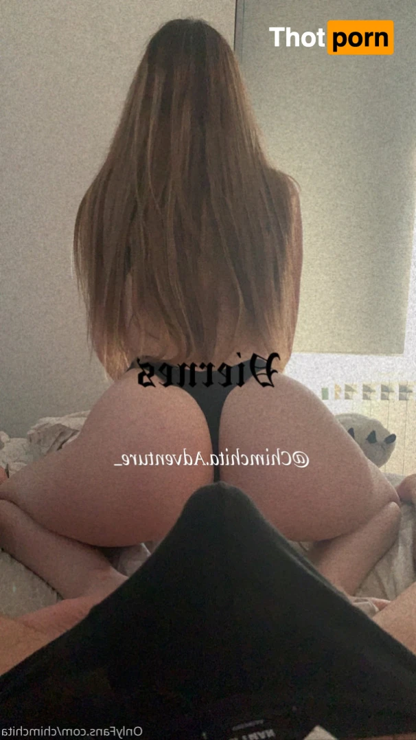 Chimchita Adventure 15089893