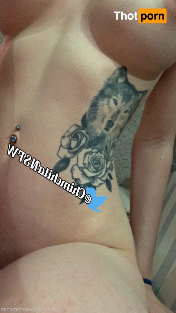 Chimchita Adventure 15090047