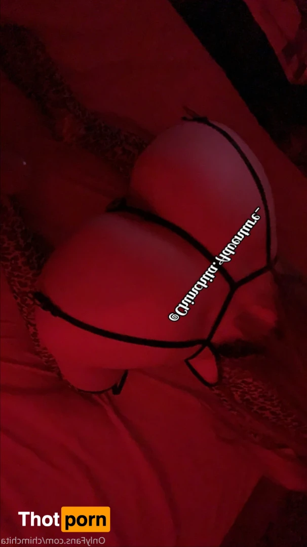 Chimchita Adventure 15090120