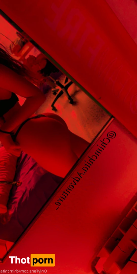 Chimchita Adventure 15090248