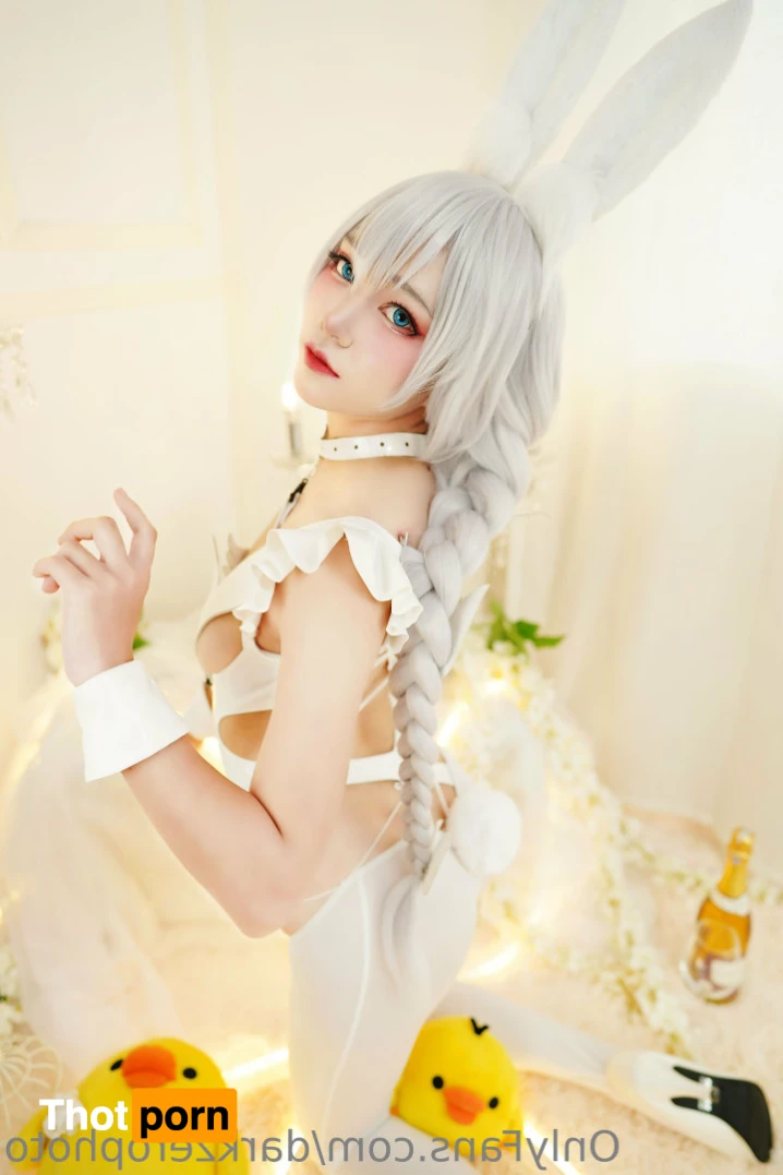 DarkZero Photographer 15537090