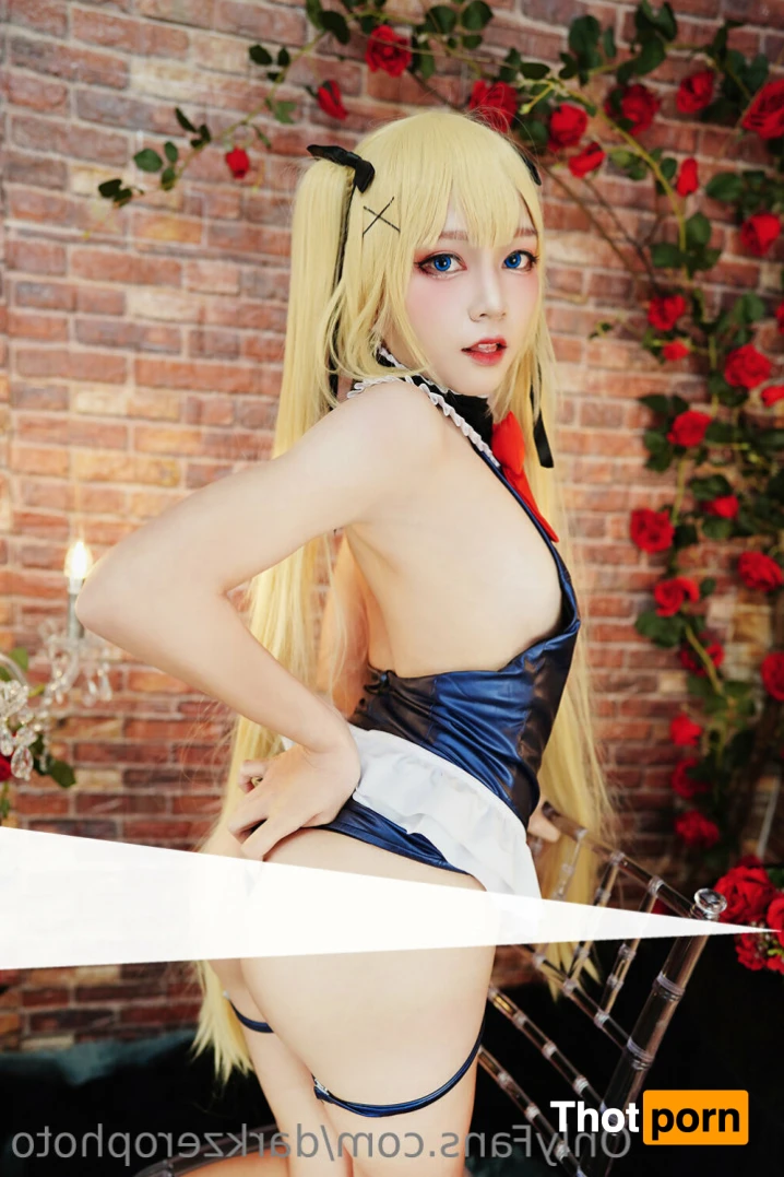 DarkZero Photographer 15537171