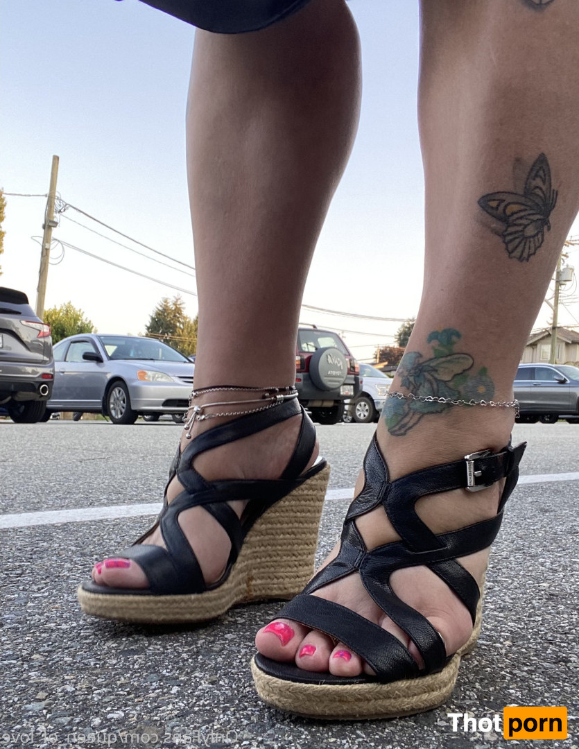 Monkey_solez 16556147