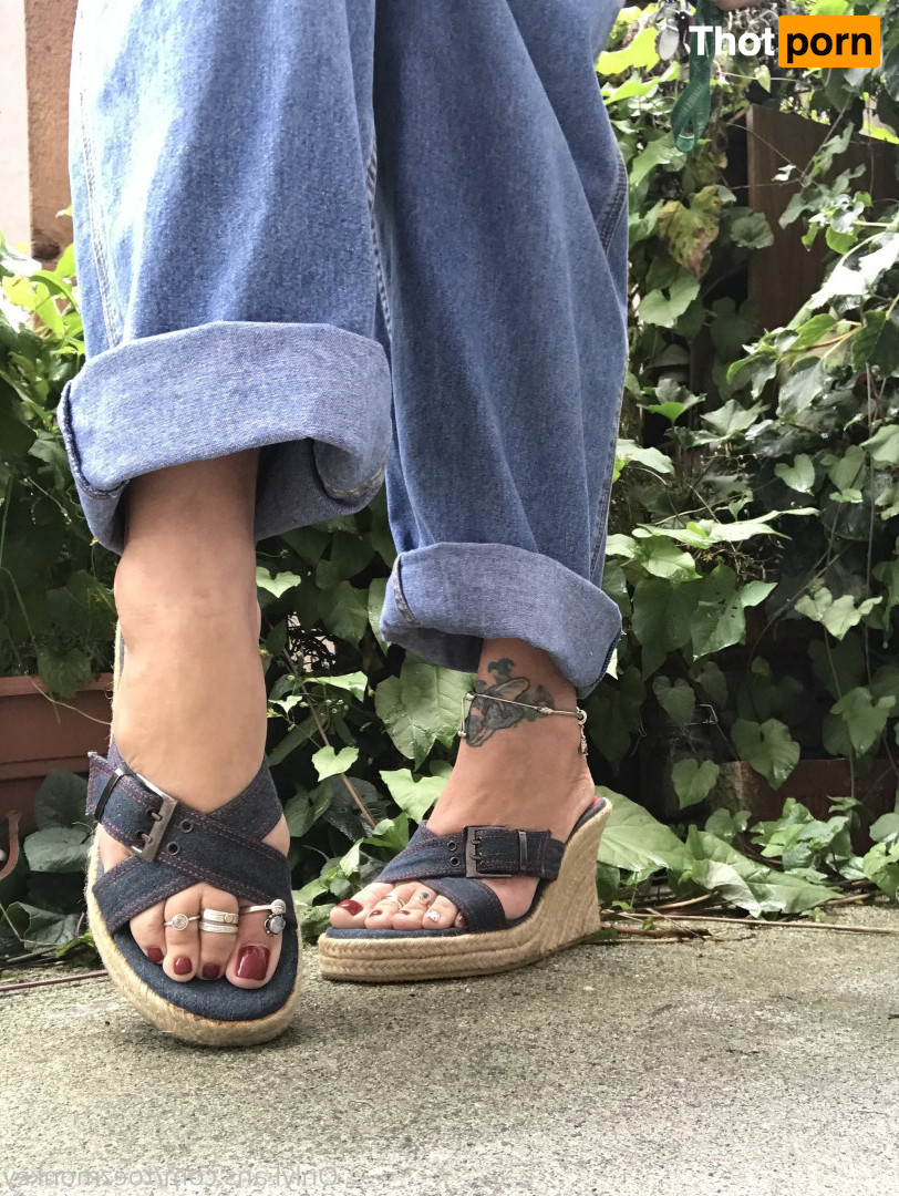 Monkey_solez 16556165