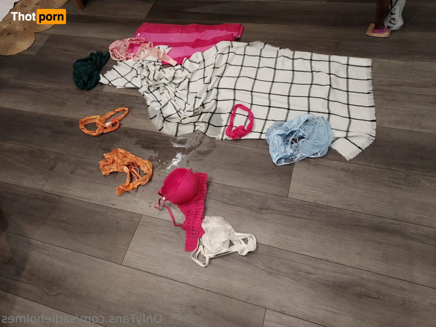 Sadie Holmes 12735057