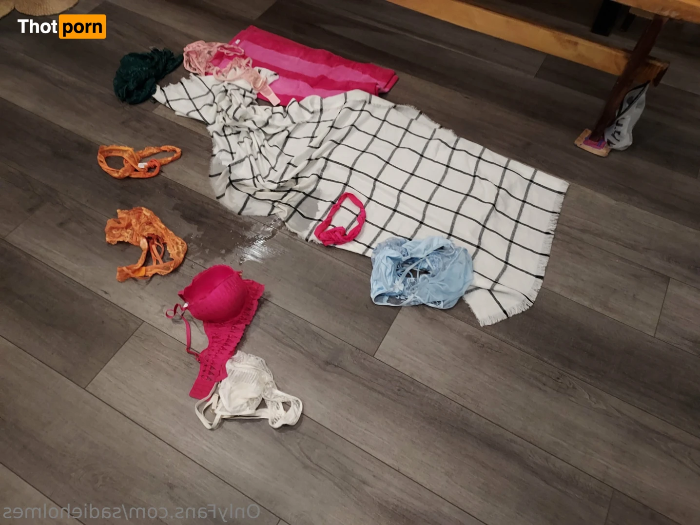 Sadie Holmes 12735187