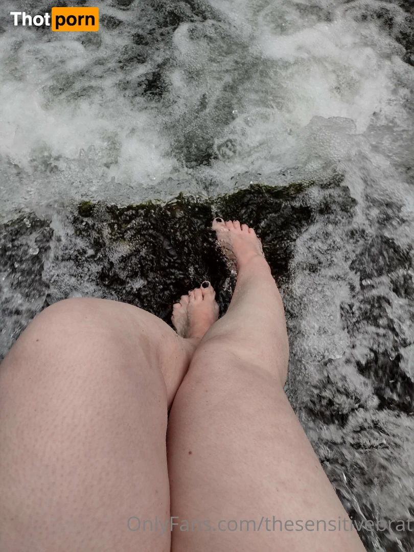 thesensitivebrat 16572311