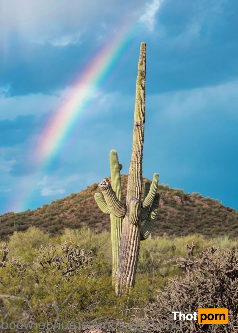 💋 Sara Underwood 12453148
