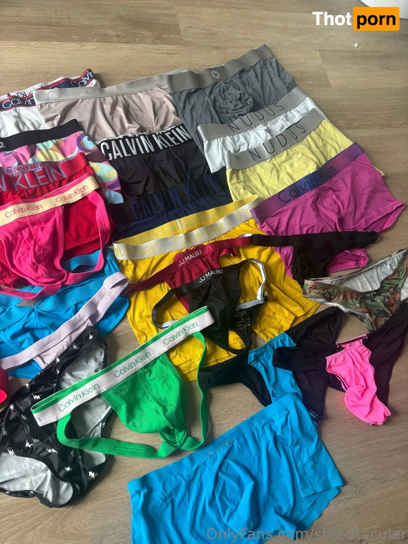 shredtacular 16573368