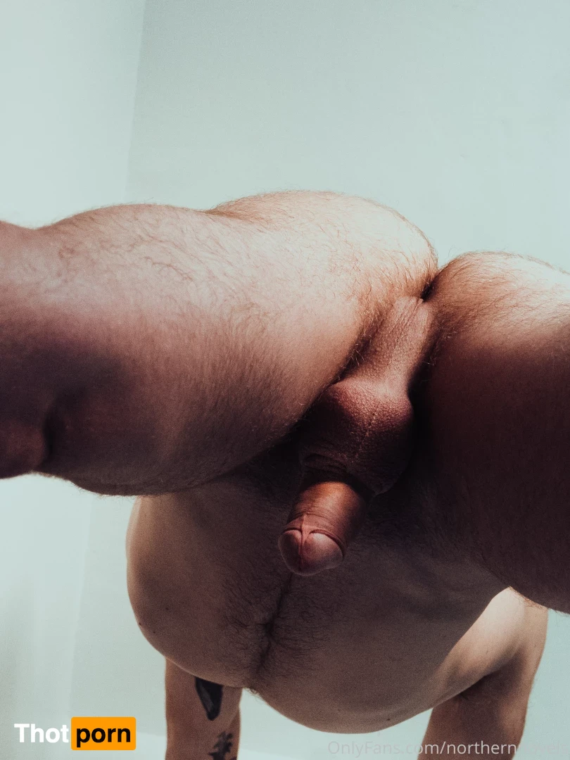 northernnovels 16573461